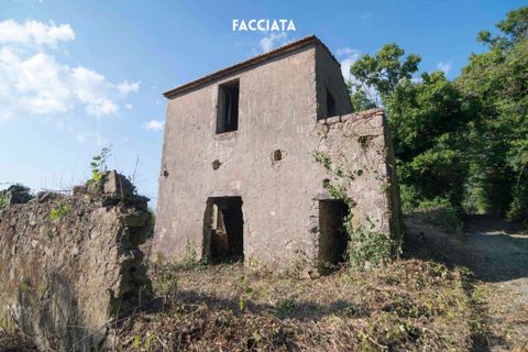 Villa i Roccatederighi, Grosseto, Roccatederighi - € 65.000 | Ref: 41741006-147-909134 - foto 6