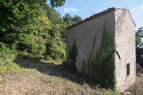 Villa i Roccatederighi, Grosseto, Roccatederighi - € 65.000 | Ref: 41741006-147-909134 - foto 7