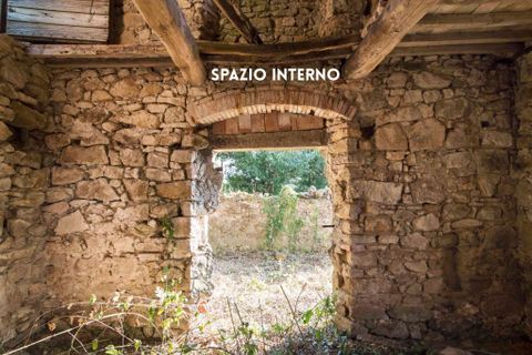 Villa i Roccatederighi, Grosseto, Roccatederighi - € 65.000 | Ref: 41741006-147-909134 - foto 8