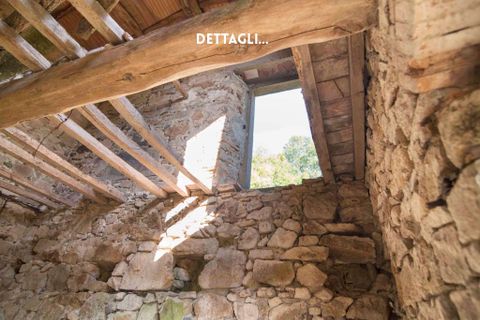 Villa i Roccatederighi, Grosseto, Roccatederighi - € 65.000 | Ref: 41741006-147-909134 - foto 15