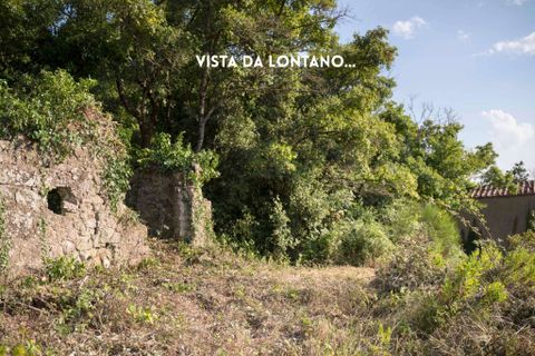 Villa i Roccatederighi, Grosseto, Roccatederighi - € 65.000 | Ref: 41741006-147-909134 - foto 25