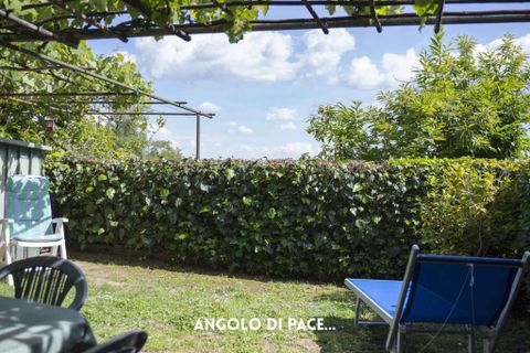 Villa i Roccastrada, Grosseto, Roccastrada - € 75.000 | Ref: 41741006-130-909420 - foto 7