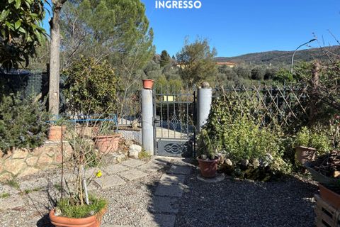 Villa a Scansano, Grosseto, Scansano - € 310.000 | Ref: 41741006-109-909524 - foto 3