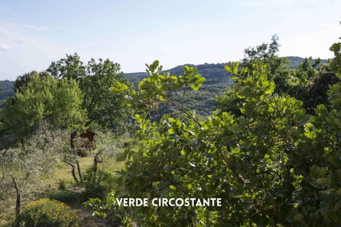 Villa a Roccatederighi, Grosseto, Roccatederighi - € 450.000 | Ref: 41741006-125-909550 - foto 3