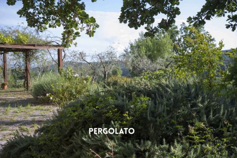 Villa a Roccatederighi, Grosseto, Roccatederighi - € 450.000 | Ref: 41741006-125-909550 - foto 5