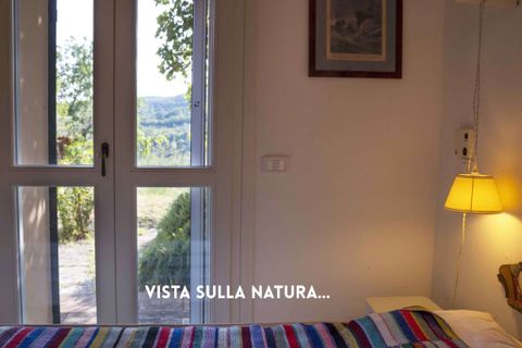 Villa a Roccatederighi, Grosseto, Roccatederighi - € 450.000 | Ref: 41741006-125-909550 - foto 23