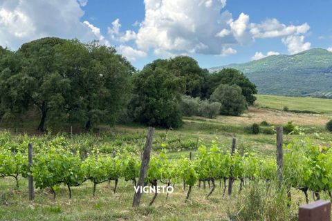 Villa i Montemassi, Grosseto, Montemassi - € 950.000 | Ref: 41741006-124-909576 - foto 2