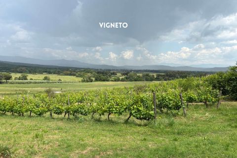 Villa i Montemassi, Grosseto, Montemassi - € 950.000 | Ref: 41741006-124-909576 - foto 3