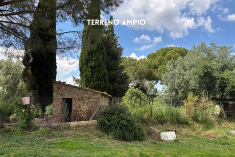 Villa i Montemassi, Grosseto, Montemassi - € 950.000 | Ref: 41741006-124-909576 - foto 4