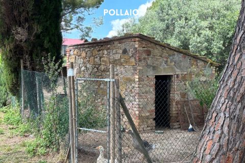 Villa i Montemassi, Grosseto, Montemassi - € 950.000 | Ref: 41741006-124-909576 - foto 5