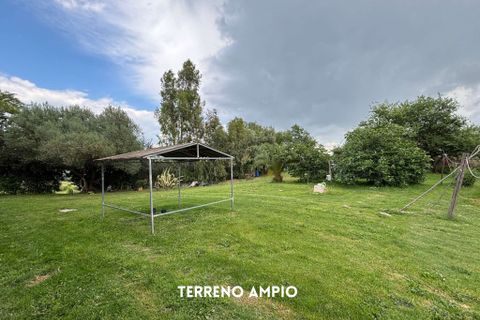 Villa i Montemassi, Grosseto, Montemassi - € 950.000 | Ref: 41741006-124-909576 - foto 6