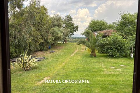 Villa i Montemassi, Grosseto, Montemassi - € 950.000 | Ref: 41741006-124-909576 - foto 7