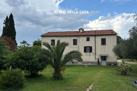 Villa i Montemassi, Grosseto, Montemassi - € 950.000 | Ref: 41741006-124-909576 - foto 11