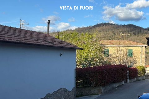Villa i Roccastrada, Grosseto, Roccastrada - € 79.000 | Ref: 41741006-119-909654 - foto 23
