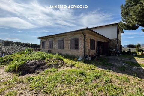 Villa a Suvereto, Livorno, Suvereto - € 350.000 | Ref: 41741006-112-909732 - foto 4