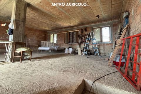 Villa a Suvereto, Livorno, Suvereto - € 350.000 | Ref: 41741006-112-909732 - foto 11