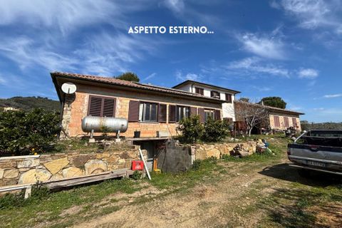 Villa a Suvereto, Livorno, Suvereto - € 350.000 | Ref: 41741006-112-909732 - foto 18