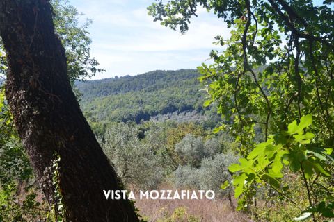 Villa i Roccastrada, Grosseto, Roccastrada - € 18.003 | Ref: 41741006-94-909831 - foto 7