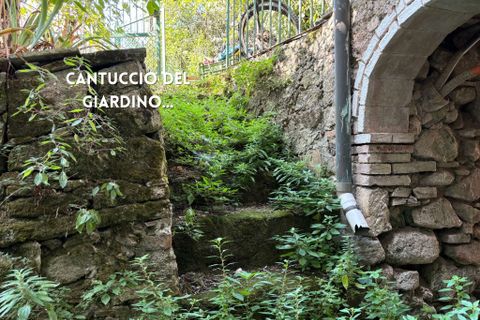 Villa i Roccastrada, Grosseto, Roccastrada - € 50.000 | Ref: 41741006-51-909870 - foto 22
