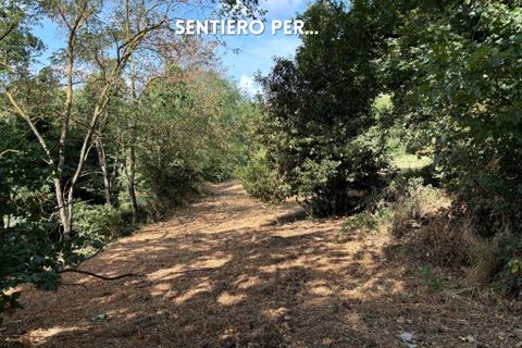 Villa i Roccastrada, Grosseto, Roccastrada - € 49.000 | Ref: 41741006-72-909920 - foto 2