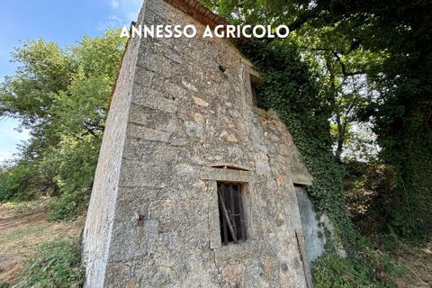 Villa i Roccastrada, Grosseto, Roccastrada - € 49.000 | Ref: 41741006-72-909920 - foto 4