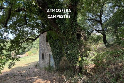Villa i Roccastrada, Grosseto, Roccastrada - € 49.000 | Ref: 41741006-72-909920 - foto 7