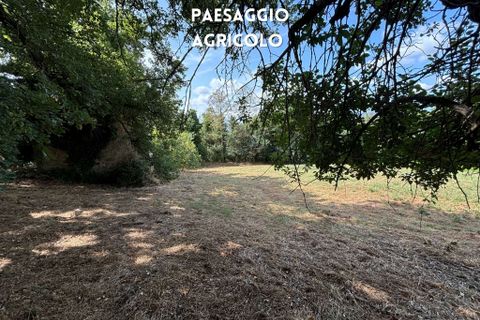 Villa i Roccastrada, Grosseto, Roccastrada - € 49.000 | Ref: 41741006-72-909920 - foto 9
