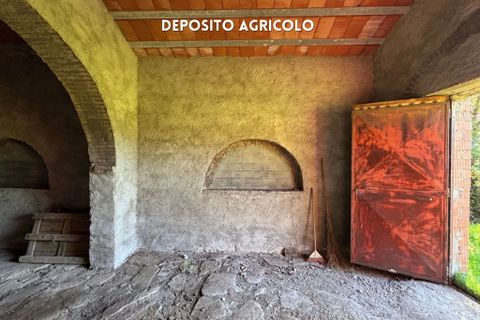 Villa a Roccatederighi, Grosseto, Roccatederighi - € 50.000 | Ref: 41741006-82-910002 - foto 7