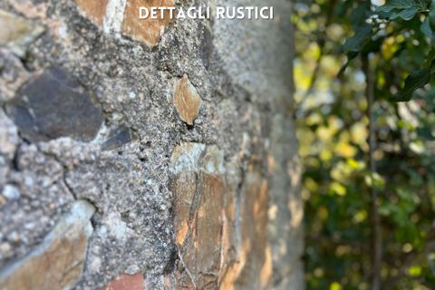 Villa a Roccatederighi, Grosseto, Roccatederighi - € 50.000 | Ref: 41741006-82-910002 - foto 13