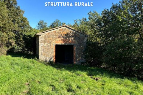 Villa a Roccatederighi, Grosseto, Roccatederighi - € 50.000 | Ref: 41741006-82-910002 - foto 14