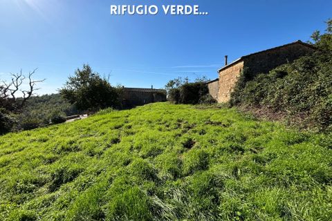 Villa a Roccatederighi, Grosseto, Roccatederighi - € 50.000 | Ref: 41741006-82-910002 - foto 15