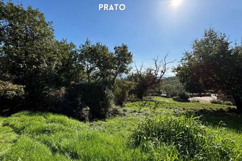 Villa a Roccatederighi, Grosseto, Roccatederighi - € 50.000 | Ref: 41741006-82-910002 - foto 16