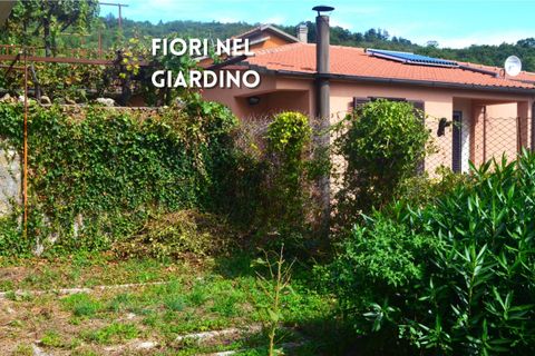 Villa i Roccatederighi, Grosseto, Roccatederighi - € 130.000 | Ref: 41741006-11-910136 - foto 14