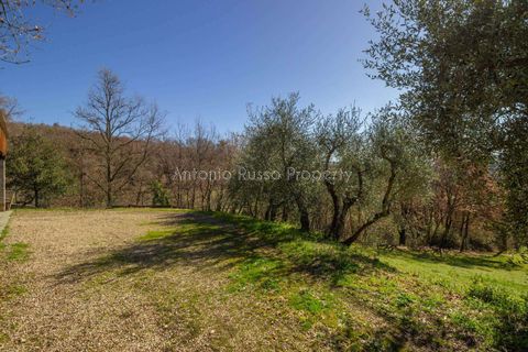 Farm hus i Loro Ciuffenna, Arezzo, Loro Ciuffenna - € 468.000 | Ref: R43-915558 - foto 9