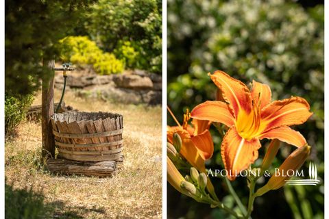 Farm hus i Arezzo, Arezzo, Arezzo - € 1.850.000 | Ref: ARZ2075-915950 - foto 46