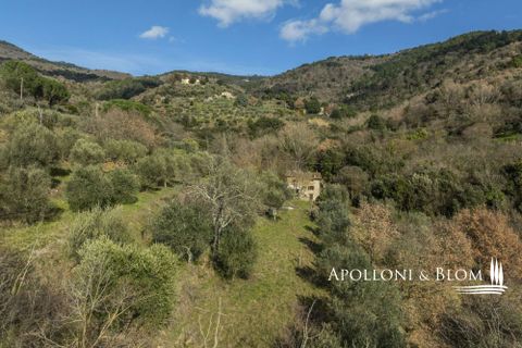 Villa i Cortona, Arezzo, Cortona - € 700.000 | Ref: COR3456-916180 - foto 10