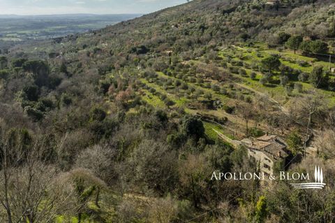 Villa i Cortona, Arezzo, Cortona - € 700.000 | Ref: COR3456-916180 - foto 47