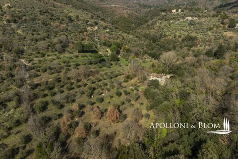 Villa i Cortona, Arezzo, Cortona - € 700.000 | Ref: COR3456-916180 - foto 48