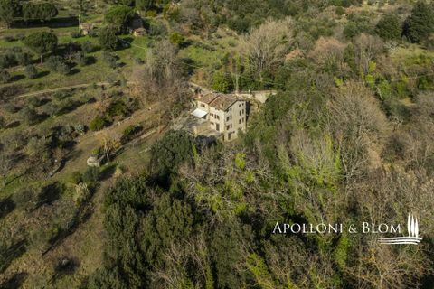 Villa i Cortona, Arezzo, Cortona - € 700.000 | Ref: COR3456-916180 - foto 49
