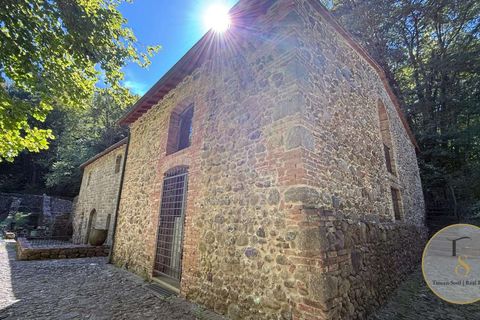 Farm hus i Preselle, Grosseto, Preselle - € 900.000 | Ref: GRO289-927886 - foto 20