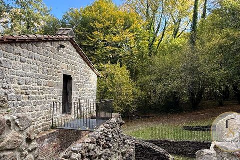 Farm hus i Preselle, Grosseto, Preselle - € 900.000 | Ref: GRO289-927886 - foto 21