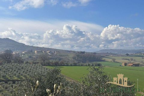 Villa a Paciano, Perugia, Paciano - € 350.000 | Ref: Ci301-934652 - foto 3