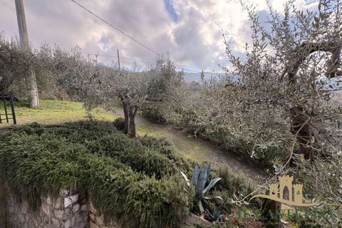 Villa a Paciano, Perugia, Paciano - € 350.000 | Ref: Ci301-934652 - foto 19