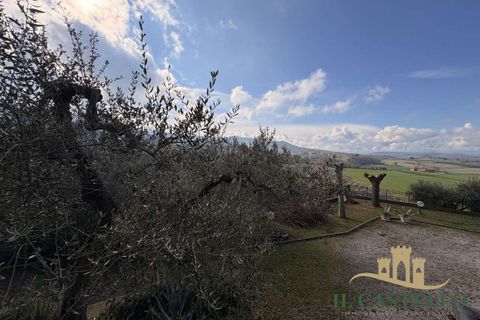 Villa a Paciano, Perugia, Paciano - € 350.000 | Ref: Ci301-934652 - foto 20