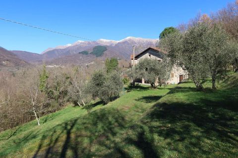 Villa i Bagnone, Massa and Carrara, Bagnone - € 420.000 | Ref: 368B-939047 - foto 10