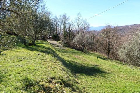 Villa i Bagnone, Massa and Carrara, Bagnone - € 420.000 | Ref: 368B-939047 - foto 15