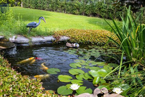 Villa a Ispra, Varese, Ispra - € 1.150.000 | Ref: W-02ZWAV-942771 - foto 26
