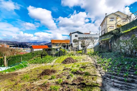 Villa i Baiao, Porto, Baiao - € 275.000 | Ref: ZMPT586425 - foto 41