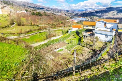 Villa i Baiao, Porto, Baiao - € 275.000 | Ref: ZMPT586425 - foto 50