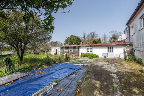 Villa i Viana do Castelo, Viana do Castelo, Viana do Castelo - € 260.000 | Ref: ZMPT586285 - foto 15